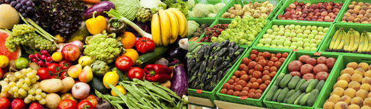 Cold storage for fruits and vegetables 
